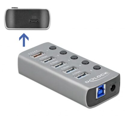 DELOCK USB hub με διακόπτες 63263, 5x USB & USB-C PD, 5Gbps, 2.4A, γκρι