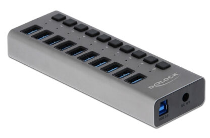 DELOCK USB hub με διακόπτες 63670, 10x USB, 5Gbps, LED, γκρι