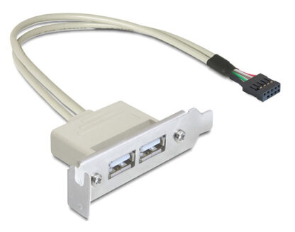 DELOCK κάρτα επέκτασης USB 9 pin σε 2x USB 2.0 83119, low profile