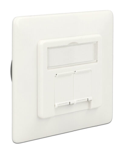 DELOCK Modular Wall Outlet Δικτύου, Cat.6A, 2x LSA, 2 Port