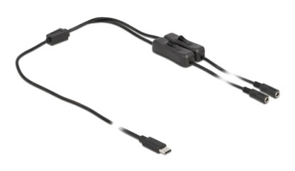 DELOCK καλώδιο USB Type-C σε 2x DC 5.5 x 2.1mm 86800, 1m, μαύρο