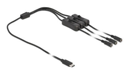 DELOCK καλώδιο USB Type-C σε 3x DC 5.5 x 2.1mm 86801, 1m, μαύρο