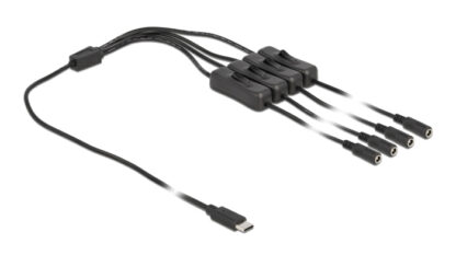 DELOCK καλώδιο USB Type-C σε 4x DC 5.5 x 2.1mm 86802, 1m, μαύρο