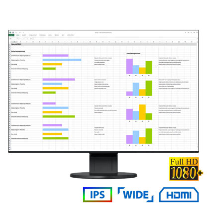 Used Monitor FlexScan EV2456 IPS LED/Eizo/24"FHD/1920x1200/Wide/Black/w/Sreakers/D-SUB & DVI-D & DP